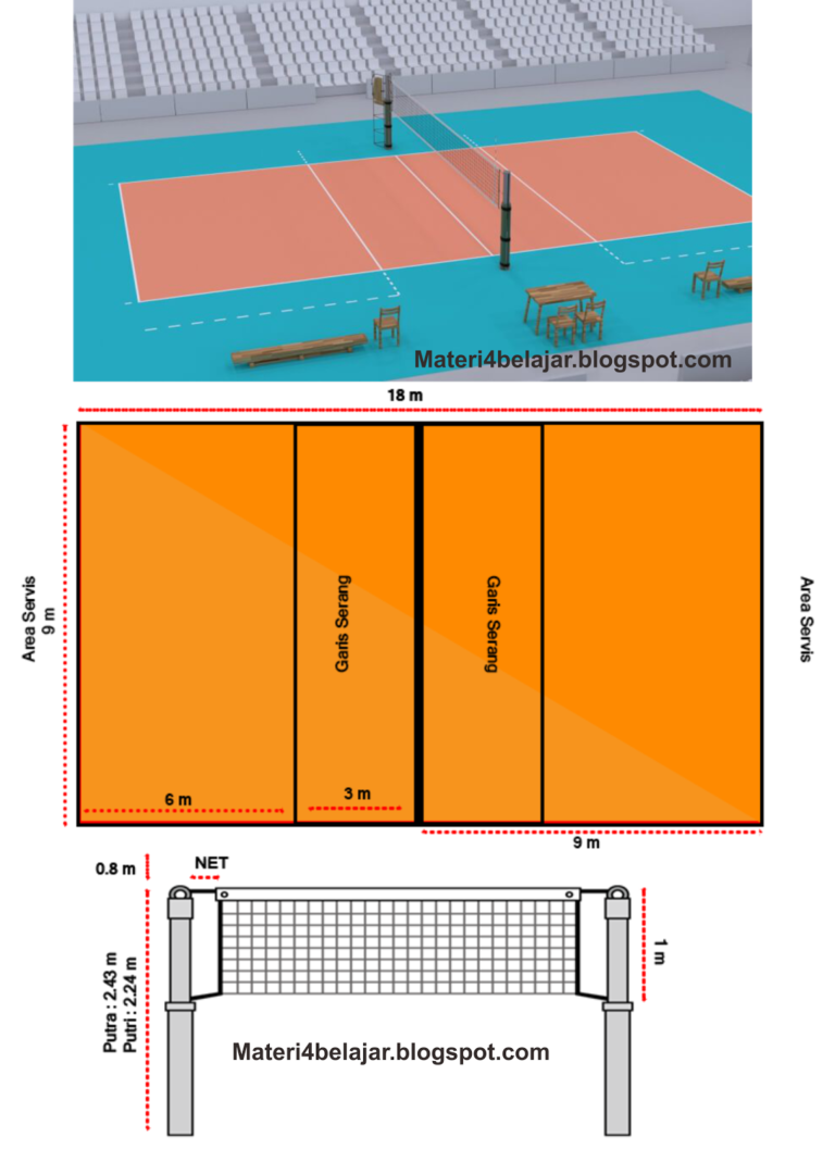 Ukuran Lapangan Bola Voli Standar Internasional - IMAGESEE